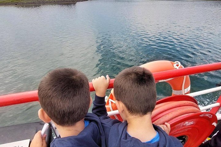Passeio de barco panorâmico pelas ilhas da Clew Bay, farol e vida selvagem perto de Westport, Irlanda, foto 16 | wizardtrip