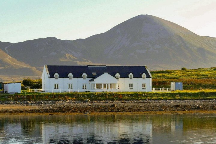 Passeio de barco panorâmico pelas ilhas da Clew Bay, farol e vida selvagem perto de Westport, Irlanda, foto 17 | wizardtrip