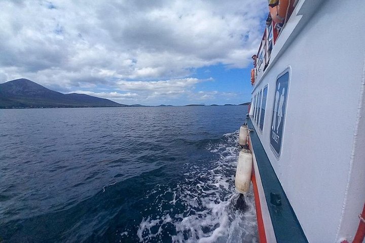 Passeio de barco panorâmico pelas ilhas da Clew Bay, farol e vida selvagem perto de Westport, Irlanda, foto 18 | wizardtrip