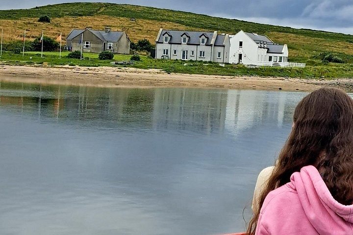 Passeio de barco panorâmico pelas ilhas da Clew Bay, farol e vida selvagem perto de Westport, Irlanda, foto 19 | wizardtrip