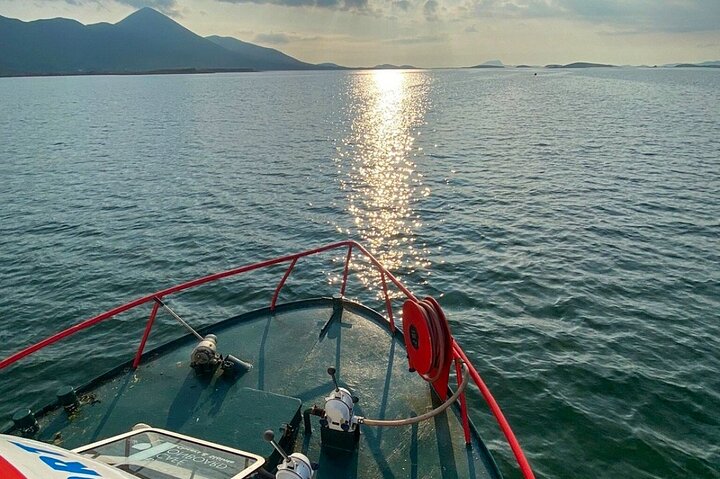 Passeio de barco panorâmico pelas ilhas da Clew Bay, farol e vida selvagem perto de Westport, Irlanda, foto 21 | wizardtrip