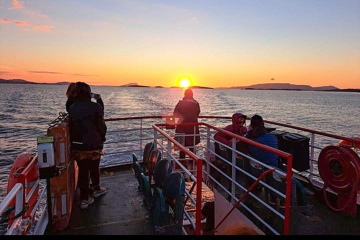 Passeio de barco panorâmico pelas ilhas da Clew Bay, farol e vida selvagem perto de Westport, Irlanda, foto 22 | wizardtrip
