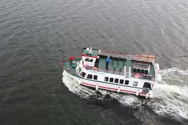 Passeio de barco panorâmico pelas ilhas da Clew Bay, farol e vida selvagem perto de Westport, Irlanda, foto 23 | wizardtrip