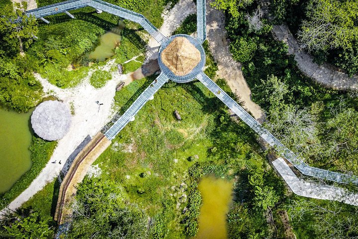 Ethisches Elefantenschutzgebiet-Erlebnis in Phuket, Thailand, mit geretteten Elefanten, die in einer üppigen tropischen Umgebung frei herumlaufen, Foto 6 | wizardtrip
