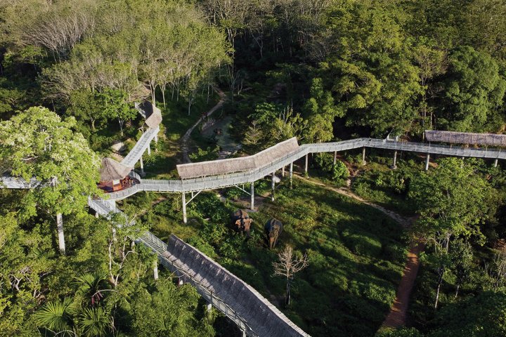 Ethisches Elefantenschutzgebiet-Erlebnis in Phuket, Thailand, mit geretteten Elefanten, die in einer üppigen tropischen Umgebung frei herumlaufen, Foto 11 | wizardtrip