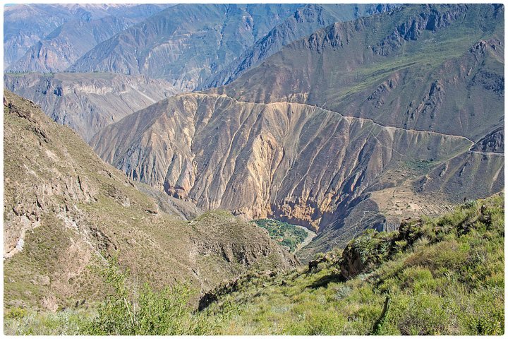 Trek through the stunning Colca Canyon in Arequipa, Peru, witnessing condors and oasis, photo 6 | wizardtrip