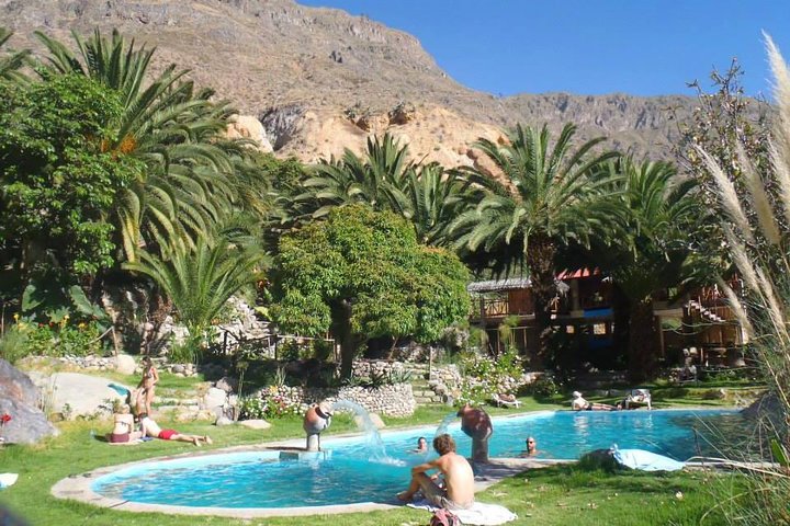 Trek through the stunning Colca Canyon in Arequipa, Peru, witnessing condors and oasis, photo 9 | wizardtrip