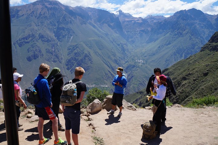 Trek through the stunning Colca Canyon in Arequipa, Peru, witnessing condors and oasis, photo 11 | wizardtrip