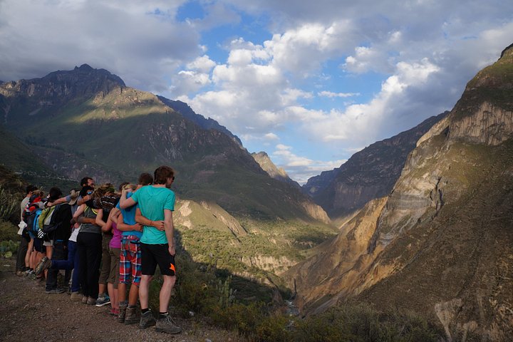 Trek through the stunning Colca Canyon in Arequipa, Peru, witnessing condors and oasis, photo 15 | wizardtrip