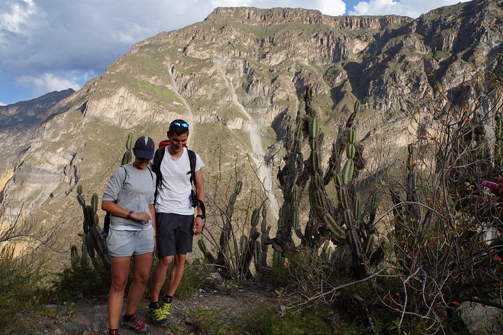 Trek through the stunning Colca Canyon in Arequipa, Peru, witnessing condors and oasis, photo 17 | wizardtrip