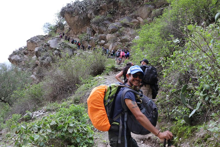 Trek through the stunning Colca Canyon in Arequipa, Peru, witnessing condors and oasis, photo 18 | wizardtrip