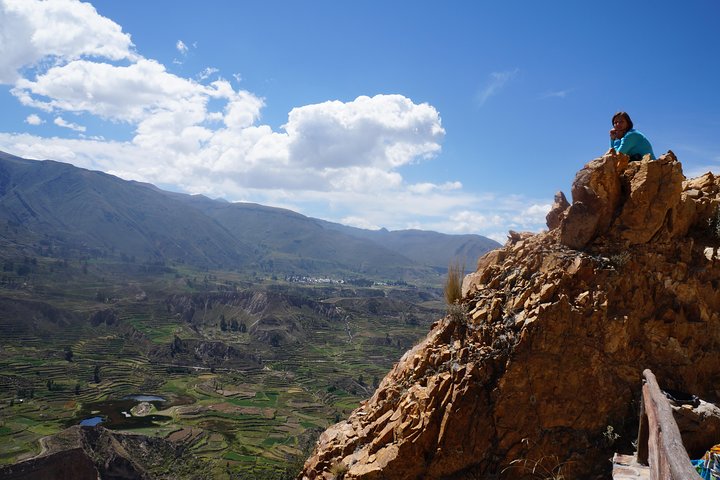 Trek through the stunning Colca Canyon in Arequipa, Peru, witnessing condors and oasis, photo 19 | wizardtrip