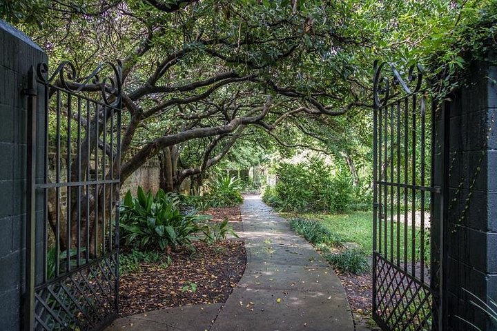 Tour a pie en grupo reducido explorando los callejones históricos y lugares emblemáticos de Charleston como Rainbow Row, foto 8 | wizardtrip