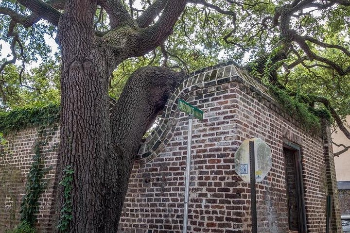 Tour a pie en grupo reducido explorando los callejones históricos y lugares emblemáticos de Charleston como Rainbow Row, foto 9 | wizardtrip