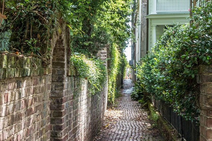 Tour a pie en grupo reducido explorando los callejones históricos y lugares emblemáticos de Charleston como Rainbow Row, foto 10 | wizardtrip