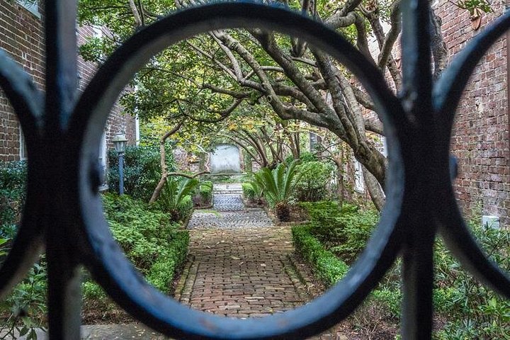 Tour a pie en grupo reducido explorando los callejones históricos y lugares emblemáticos de Charleston como Rainbow Row, foto 13 | wizardtrip