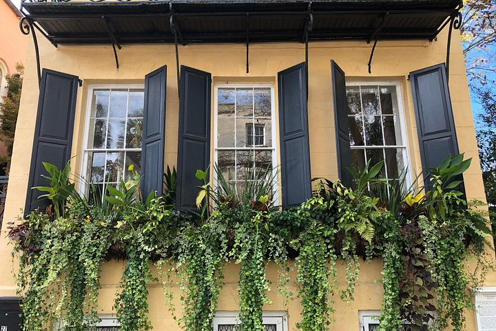Tour a pie en grupo reducido explorando los callejones históricos y lugares emblemáticos de Charleston como Rainbow Row, foto 14 | wizardtrip