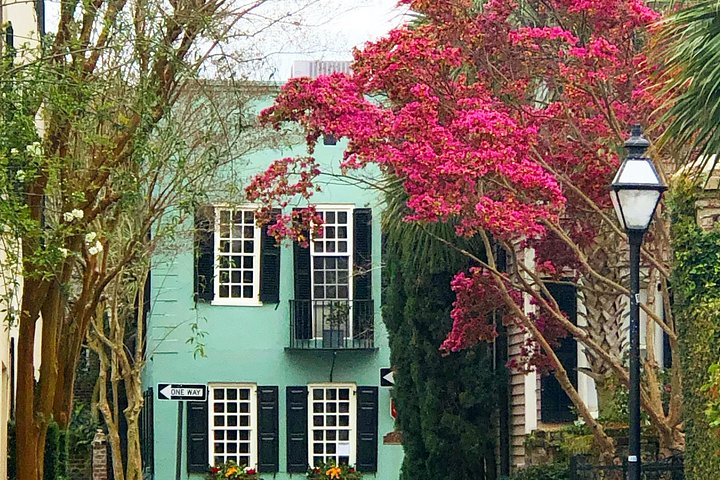 Tour a pie en grupo reducido explorando los callejones históricos y lugares emblemáticos de Charleston como Rainbow Row, foto 18 | wizardtrip