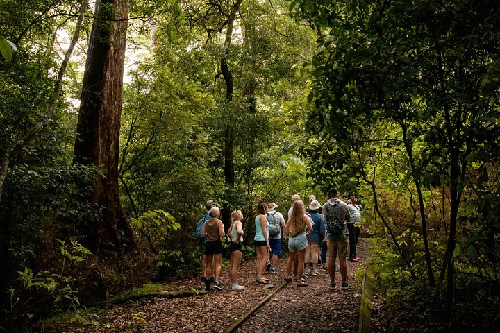 Vivi un'intera giornata di avventura nel Parco Nazionale del Vulcano Rincón de la Vieja, Costa Rica, con escursioni, cascate e sorgenti termali, foto 6 | wizardtrip