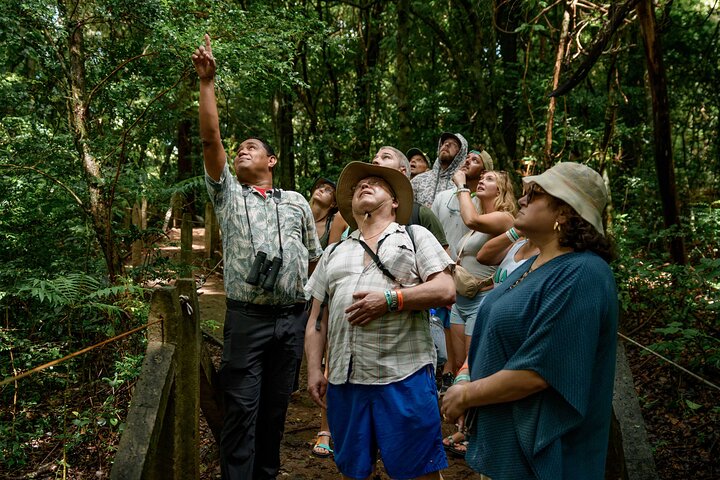 Vivi un'intera giornata di avventura nel Parco Nazionale del Vulcano Rincón de la Vieja, Costa Rica, con escursioni, cascate e sorgenti termali, foto 7 | wizardtrip