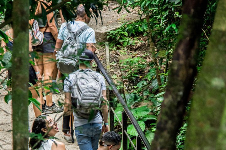 Vivi un'intera giornata di avventura nel Parco Nazionale del Vulcano Rincón de la Vieja, Costa Rica, con escursioni, cascate e sorgenti termali, foto 23 | wizardtrip