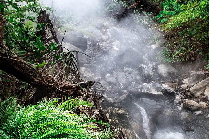 Vivi un'intera giornata di avventura nel Parco Nazionale del Vulcano Rincón de la Vieja, Costa Rica, con escursioni, cascate e sorgenti termali, foto 24 | wizardtrip