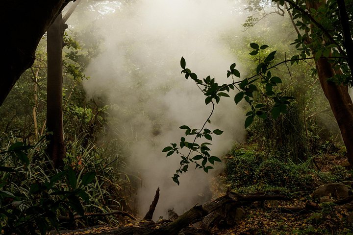 Vivi un'intera giornata di avventura nel Parco Nazionale del Vulcano Rincón de la Vieja, Costa Rica, con escursioni, cascate e sorgenti termali, foto 29 | wizardtrip