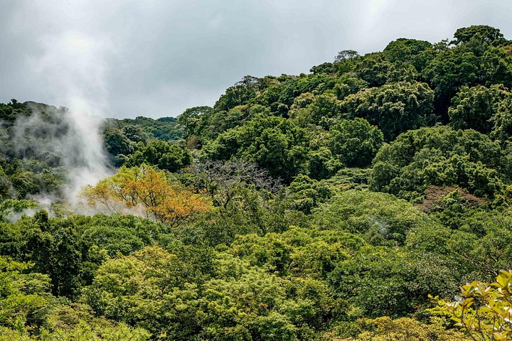 Vivi un'intera giornata di avventura nel Parco Nazionale del Vulcano Rincón de la Vieja, Costa Rica, con escursioni, cascate e sorgenti termali, foto 31 | wizardtrip
