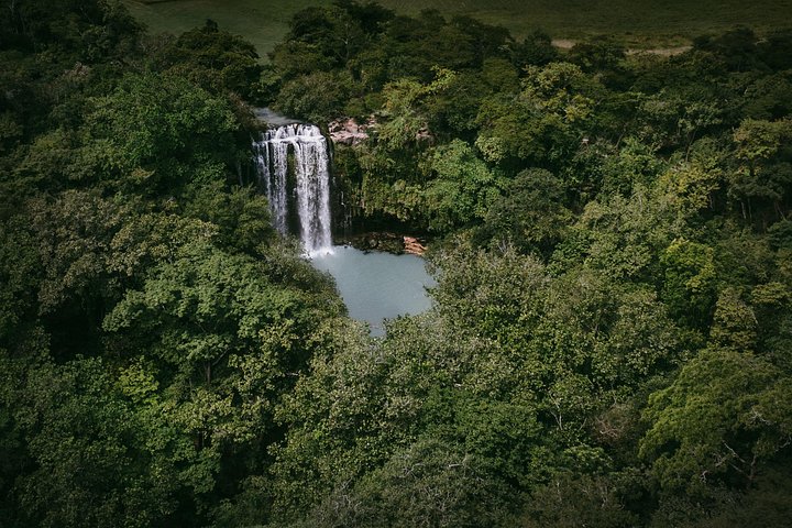 Heldagstur i Costa Rica med vandfald, regnskovsvandringer og besøg på dovendyrreservat, foto 10 | wizardtrip