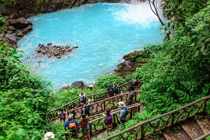 Heldagstur i Costa Rica med vandfald, regnskovsvandringer og besøg på dovendyrreservat, foto 11 | wizardtrip