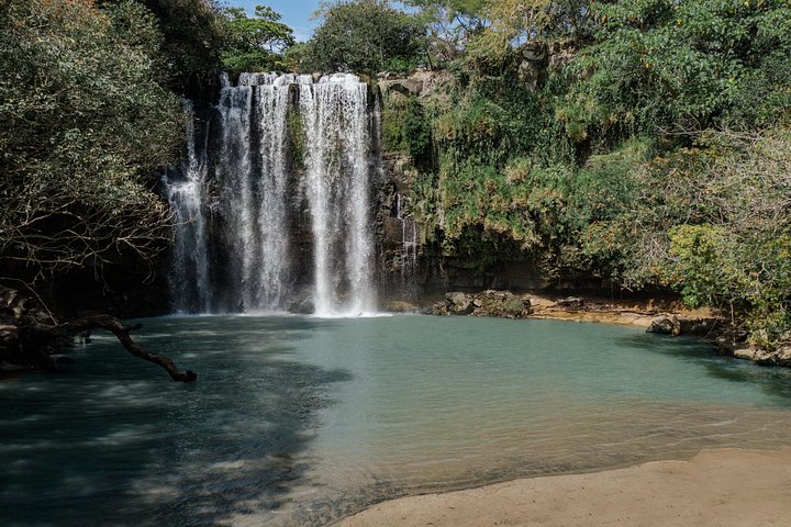 Heldagstur i Costa Rica med vandfald, regnskovsvandringer og besøg på dovendyrreservat, foto 12 | wizardtrip
