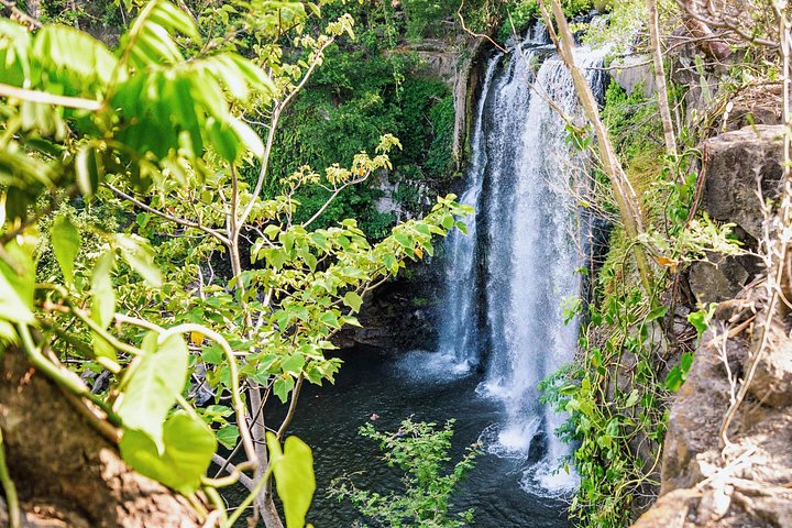 Heldagstur i Costa Rica med vandfald, regnskovsvandringer og besøg på dovendyrreservat, foto 13 | wizardtrip