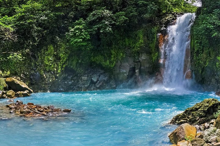 Heldagstur i Costa Rica med vandfald, regnskovsvandringer og besøg på dovendyrreservat, foto 15 | wizardtrip