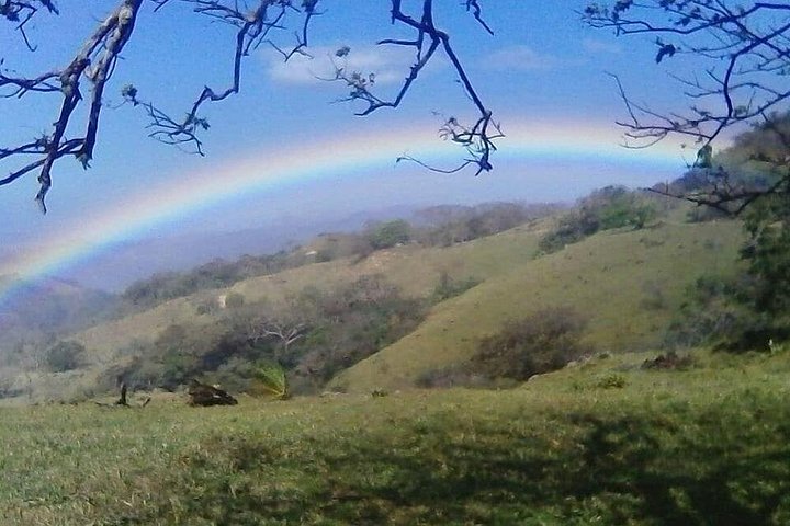Heldagstur i Costa Rica med vandfald, regnskovsvandringer og besøg på dovendyrreservat, foto 16 | wizardtrip