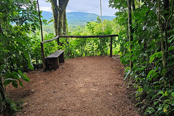 Heldagstur i Costa Rica med vandfald, regnskovsvandringer og besøg på dovendyrreservat, foto 27 | wizardtrip