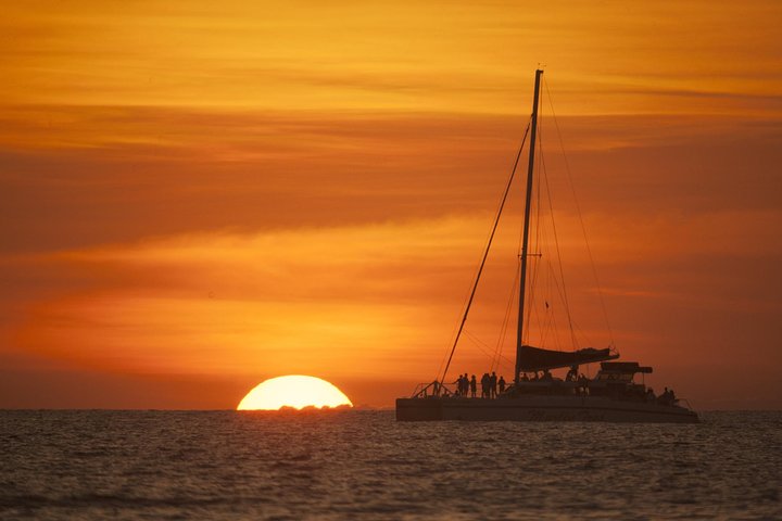 Tamarindo | wizardtrip