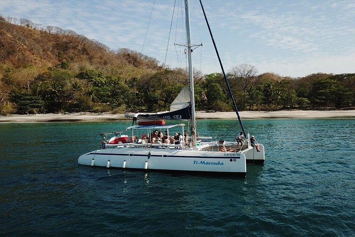 コスタリカ、タマリンドでのシュノーケリングと野生生物観察付きサンセットカタマランクルーズ、写真7 | wizardtrip