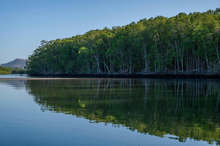Naturskøn bådtur gennem den frodige mangroveflodmunding i Tamarindo, Costa Rica, hvor man spotter dyreliv, foto 34 | wizardtrip