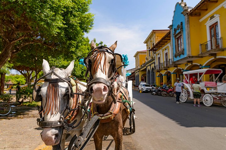 Full-day tour from Costa Rica to Nicaragua, featuring volcanoes, colonial Granada, and Lake Nicaragua, photo 24 | wizardtrip