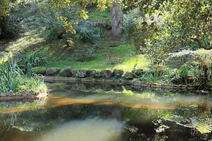 Privat, tilpasselig tur til Sintras paladser og kystlinje fra Lissabon, foto 23 | wizardtrip