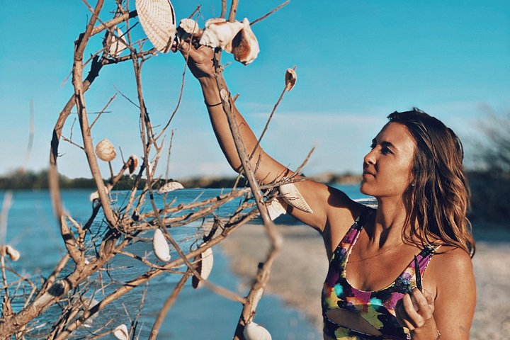 フロリダ州タンパ湾でのクリアカヤックツアー、マングローブと野生生物を探検、写真13 | wizardtrip