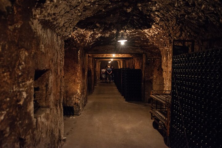 Reims Afternoon Tour: Champagne & Family Growers | wizardtrip