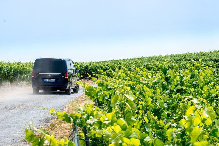 Champagnerverkostung und Weinbergtour in der Region Reims, Frankreich, Foto 7 | wizardtrip