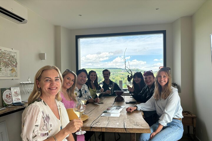 Champagnerverkostung und Weinbergtour in der Region Reims, Frankreich, Foto 8 | wizardtrip