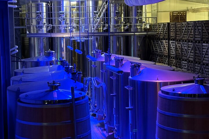 Champagnerverkostung und Weinbergtour in der Region Reims, Frankreich, Foto 9 | wizardtrip