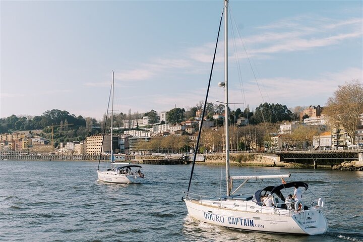 Goditi una scenografica crociera in barca a vela sul fiume Douro a Porto, Portogallo, con vista sui ponti e sulla città, foto 40 | wizardtrip
