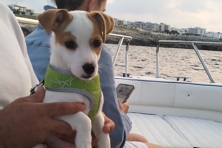 Pintoresco paseo en barco explorando las cuevas marinas y la costa de Polignano a Mare, Italia, foto 18 | wizardtrip