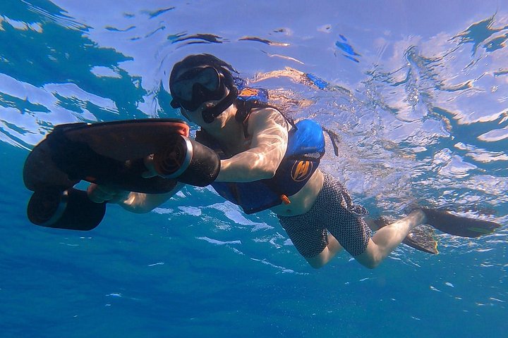 Aventura de jet snorkeling em San Juan, Porto Rico, com tartarugas marinhas e peixes tropicais, foto 6 | wizardtrip
