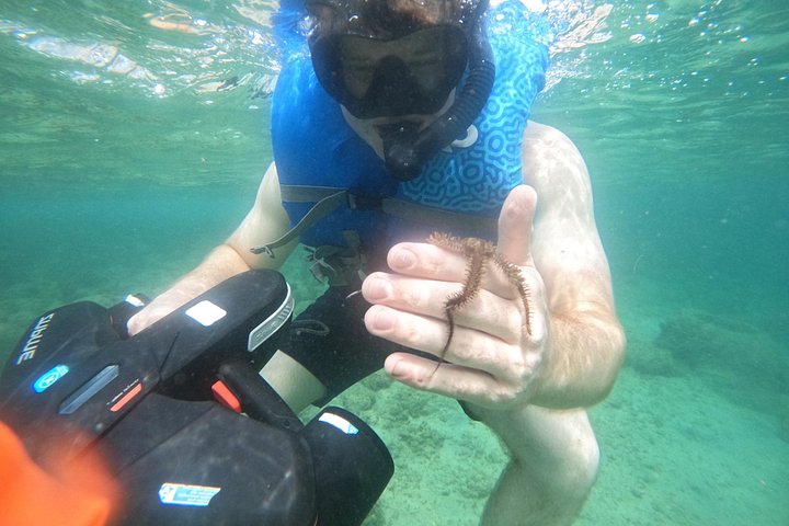 Aventura de jet snorkeling em San Juan, Porto Rico, com tartarugas marinhas e peixes tropicais, foto 8 | wizardtrip