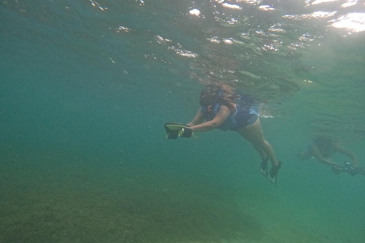 Aventura de jet snorkeling em San Juan, Porto Rico, com tartarugas marinhas e peixes tropicais, foto 12 | wizardtrip